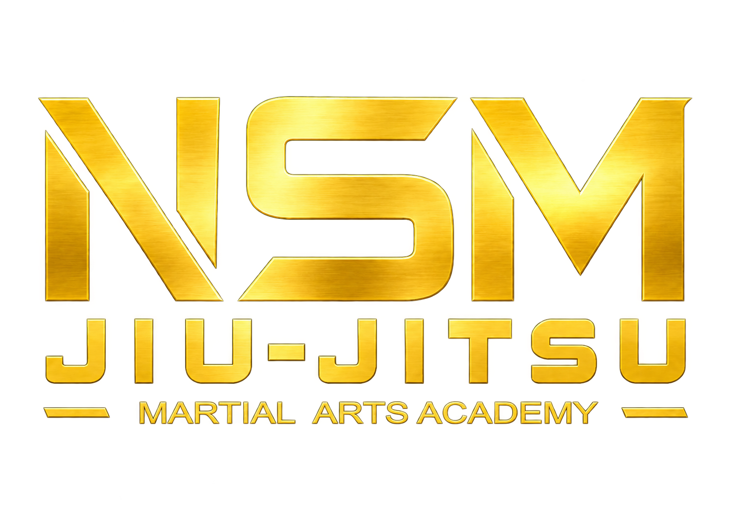 NSM Team logo